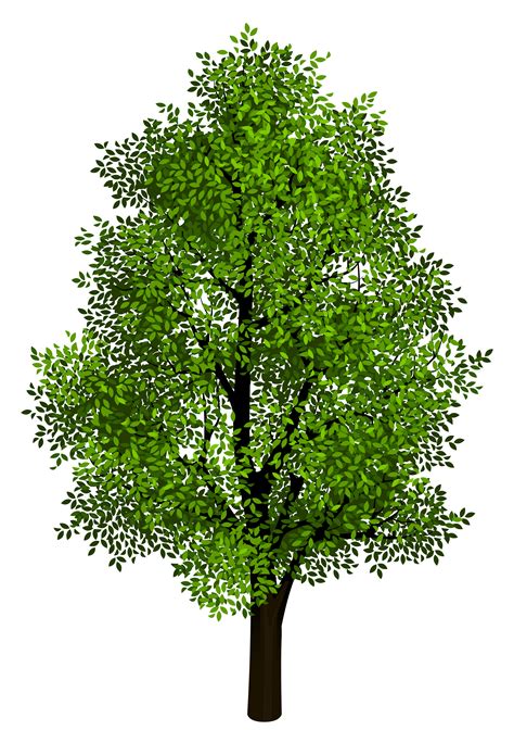 Find Hd Free Tree Png Clip Art Transparent Background Tree Clipart Images