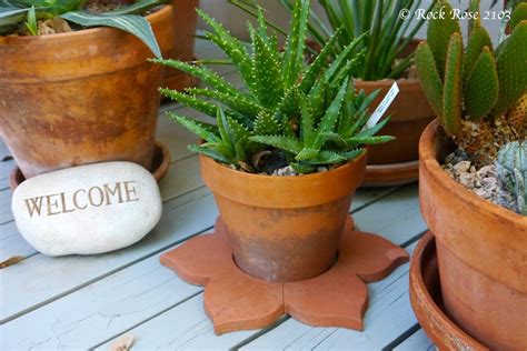 When building a birdhouse for purple martins, make sure to situate it in a large open space, preferably in the center of a clearing. ROCK ROSE: WHAT'S NOT TO LOVE ABOUT AGAVES, CACTUS AND ...