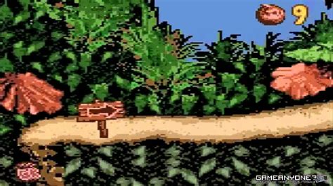 Old Donkey Kong Country Gameboy Color Part 1 Youtube