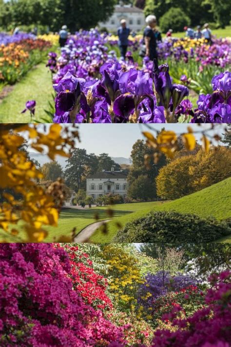 Willkommen in den merian gärten. MERIAN GÄRTEN IN BRÜGLINGEN in 2020 | Garten, Merian ...