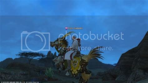 Some Pics Of Different Uldahn Chocobo Barding For Those Who Havent