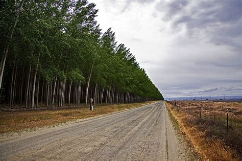 Boardman Tree Farm In Oregon Usa Amusing Planet