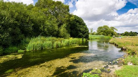 Pollution Destroying Life Of Englands Chalk Streams News The