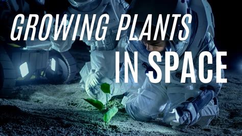 Growing Plants In Space Space Gardens Youtube