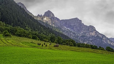 Landscape Nature Mountains Forest Alps Clouds Grass Tyrol
