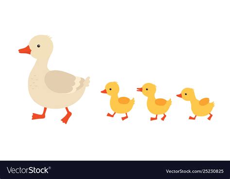 Mother Duck And Ducklings Cute Baby Ducks Walking Vector Image