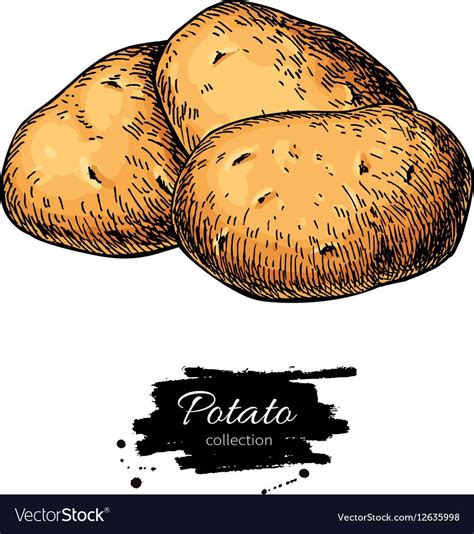 Potato Drawing Cinderella Aesthetic Air Fryer Baked Potato French