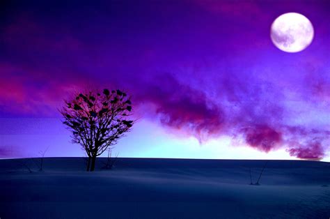 Full Moon In Purple Winter Sunset Hd Wallpaper