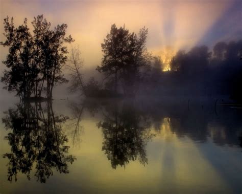 Wallpaper Morning Sunrise Fog Trees Lake Water Reflection 1920x1200