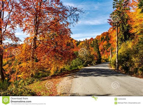 Asphalt Road Through Autumn Forest In Mountains Stock Photo Image Of