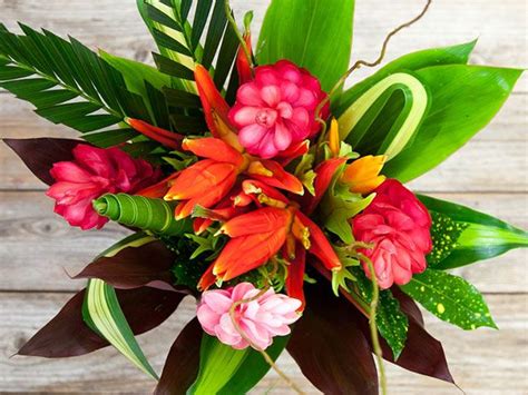 The Bouqs Company Mothers Day Special For 35 Tropical Flower