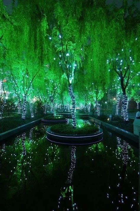 Magic Forest In Shanghai Interesting Things Breathtaking Places