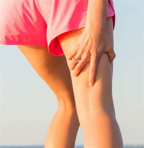 Origin, insertion, and nerve supply of the muscles on the back of thigh. Diagram Of Upper Leg Muscles And Tendons - Leg Muscles ...