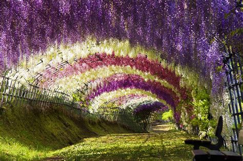 ✔48 best small yard landscaping & flower garden design ideas #smallyardlandscaping #flowergarden. Beautiful Flower Garden With Hanging Flowers | I Like To ...