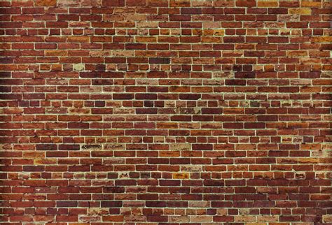 Murale en Papier Peint Pas Juste un Autre Mur de Briques | Muralunique