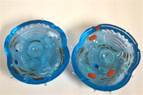 This 3d animal cell made from styrofoam is fantastic! Ein-O Science 3D Animal Cell Model | Program in Education