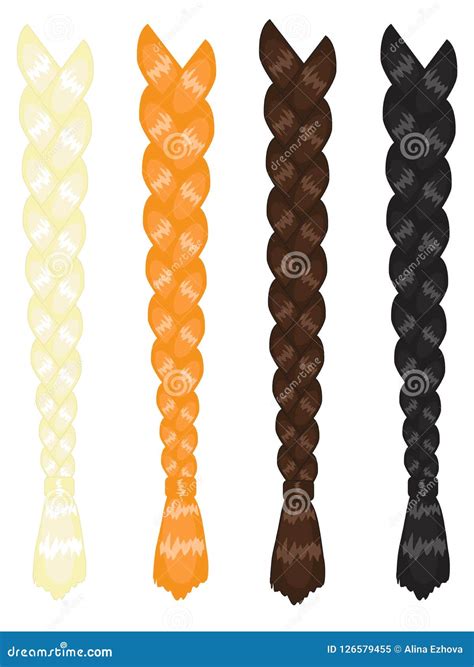 Various Long Female Braids Hair Stock Vector Illustration Of
