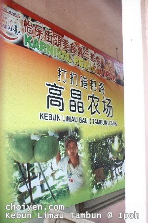 Kohalik ilm ladang bukit tambun. Kebun Limau Tambun & Tibetian Buddhist Temple @ Ipoh ...
