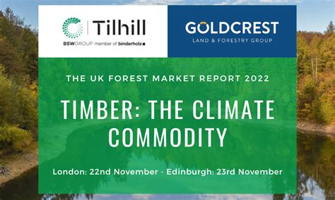 The Uk Forest Market Report 2022 Goldcrest Land And Forestry Group