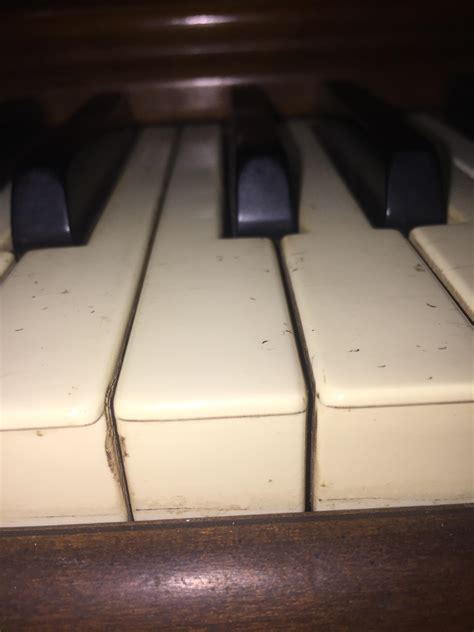 Are These Ivory Or Plastic Keys And Can I Clean Them With Rubbing