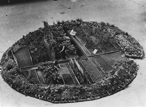 For beginners, we're going to get through this crisis. Victory Gardens - The Daily Garden