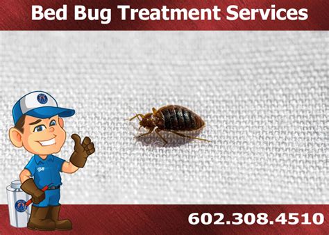 Bed Bug Treatment Litchfield Park Az Bed Bug Exterminators
