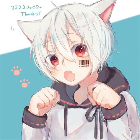 Mafuneko Anime Cat Boy Kawaii Anime Cute Anime Chibi