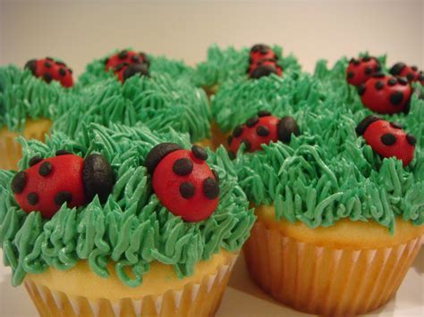 Fileladybug Cupcakes Wikipedia