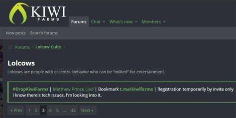 Kiwi Farms Hackers Try To Get Website Known For Harassment Campaigns Back Online