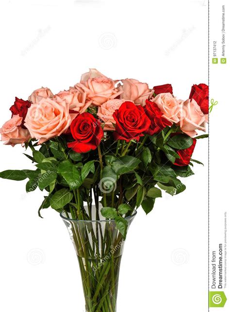 Bouquet Of Pink And Red Roses Isolated Stock Photo Image Of Bloom