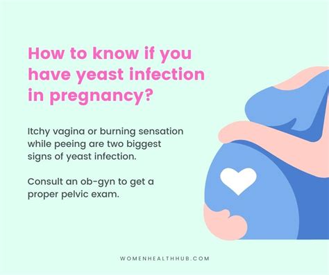 Yeast Infection During Pregnancy Causes Signs Prevention