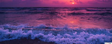 Purple Sunset Hd Wallpaper Download