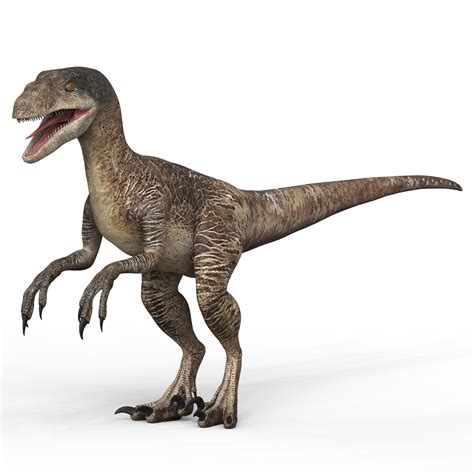 Artstation Velociraptor Dinosaur 3d Model Resources