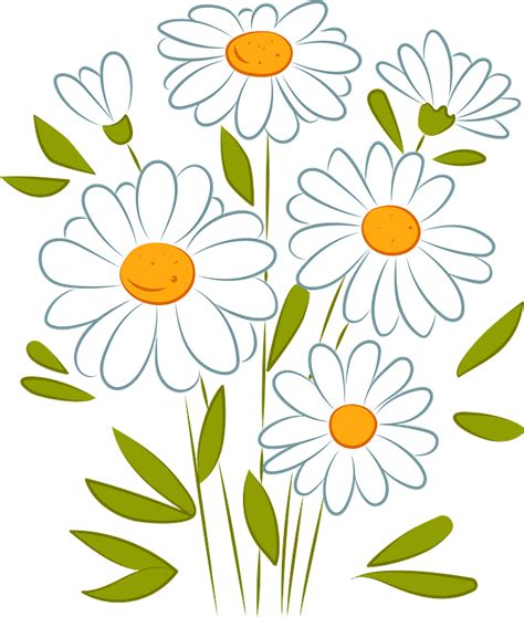 Free Clipart Pic Of Daisies
