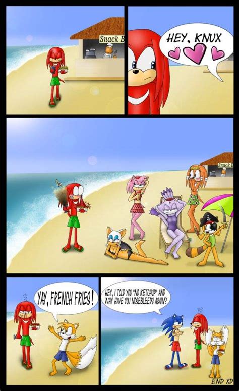 Knuckles Amazing Summer 😆😂 Sonic The Hedgehog Amino