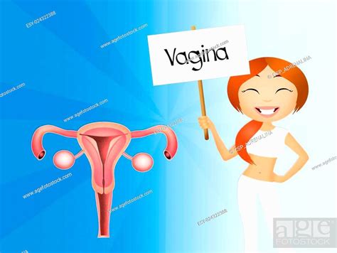 Vagina Stock Photo Picture And Low Budget Royalty Free Image Pic Esy Agefotostock