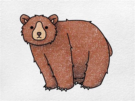 How To Draw A Grizzly Bear For Kids