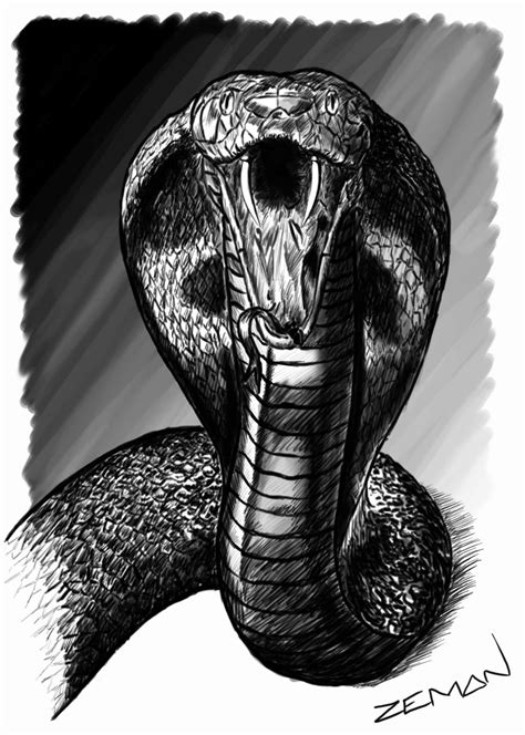 King Cobra By Zeman69 On Deviantart