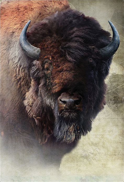 59 Bison Ideas Native American Art Bison Western Art