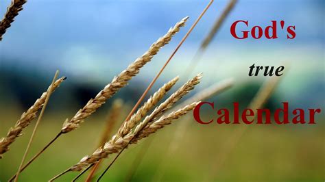 Gods Calendar And The Harvest Youtube