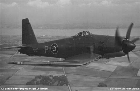 Aviation Photographs Of Blackburn Firecrest Abpic