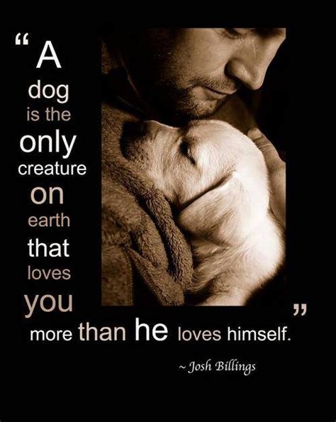 20 Unconditional Dog Love Quotes Vitalcute