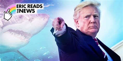 today i learned that trump is afraid of sharks it s all i can think about