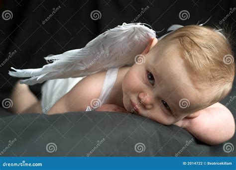 Angel Baby Stock Photo Image Of Feathers Beautiful Flawless 2014722