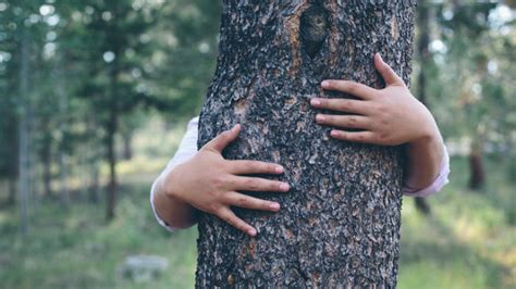 Ecosexuals Have Sex With Trees May Save Earth Doing It