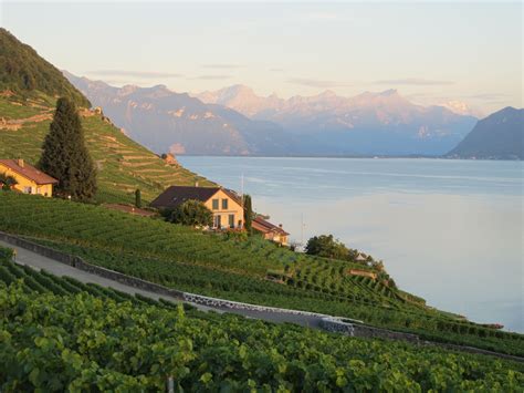 Lake Geneva Mountains Switzerland Switzerland Photos 3 Guide Of The