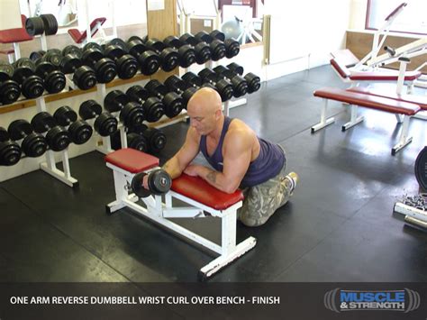 One Arm Reverse Dumbbell Wrist Curl Over Bench Video Exercise Guide And Tips