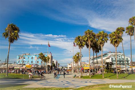 0.2 miles from inn at venice beach. 100+ Things to Do in Venice Beach! - Venice Paparazzi ...