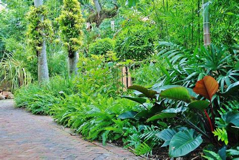 11 Amazing Tropical Garden Ideas Worth To Check Sharonsable