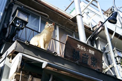Go Check Out The Shichifuku Neko Seven Lucky Cats In Yanaka Tokyo
